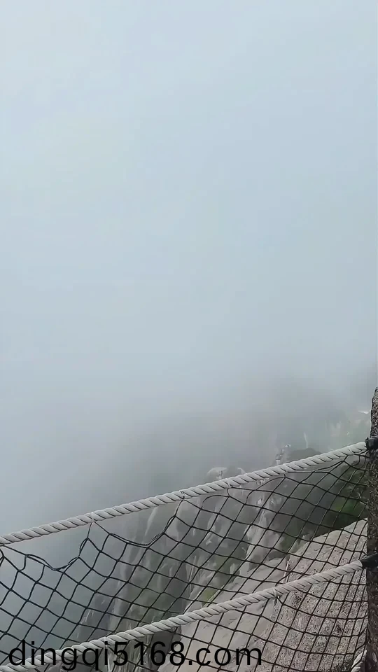猫咪成人在线观看